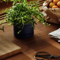 Best IITTALA Kukkaruukku SN 11cm matta sininen