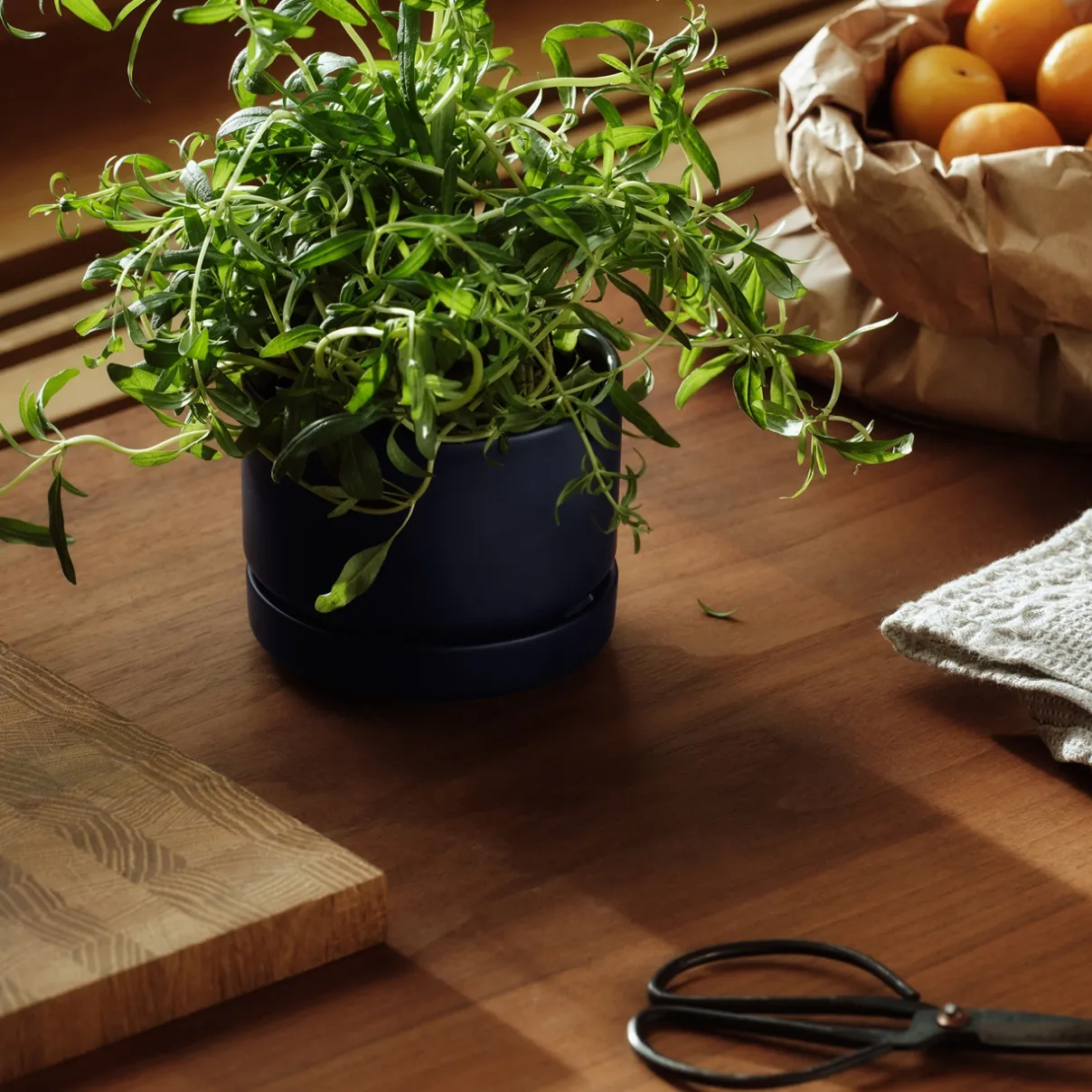 Best IITTALA Kukkaruukku SN 11cm matta sininen