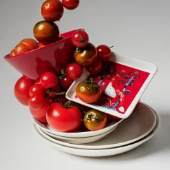 Best IITTALA Lautanen suorakaide 12x24cm punainen Musta