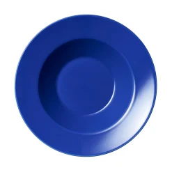 IITTALA Lautanen syvä 24cm iiris