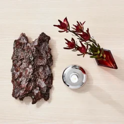 New IITTALA Maljakko 115x140mm Karpalo