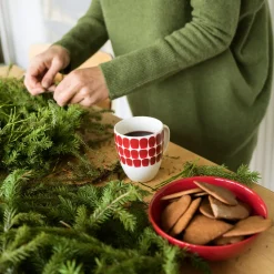 Discount IITTALA Muki 0,34l punainen