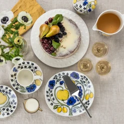 New IITTALA Rasia 0,43l kannella