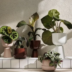 Clearance IITTALA Ruukku ja vati S Beige