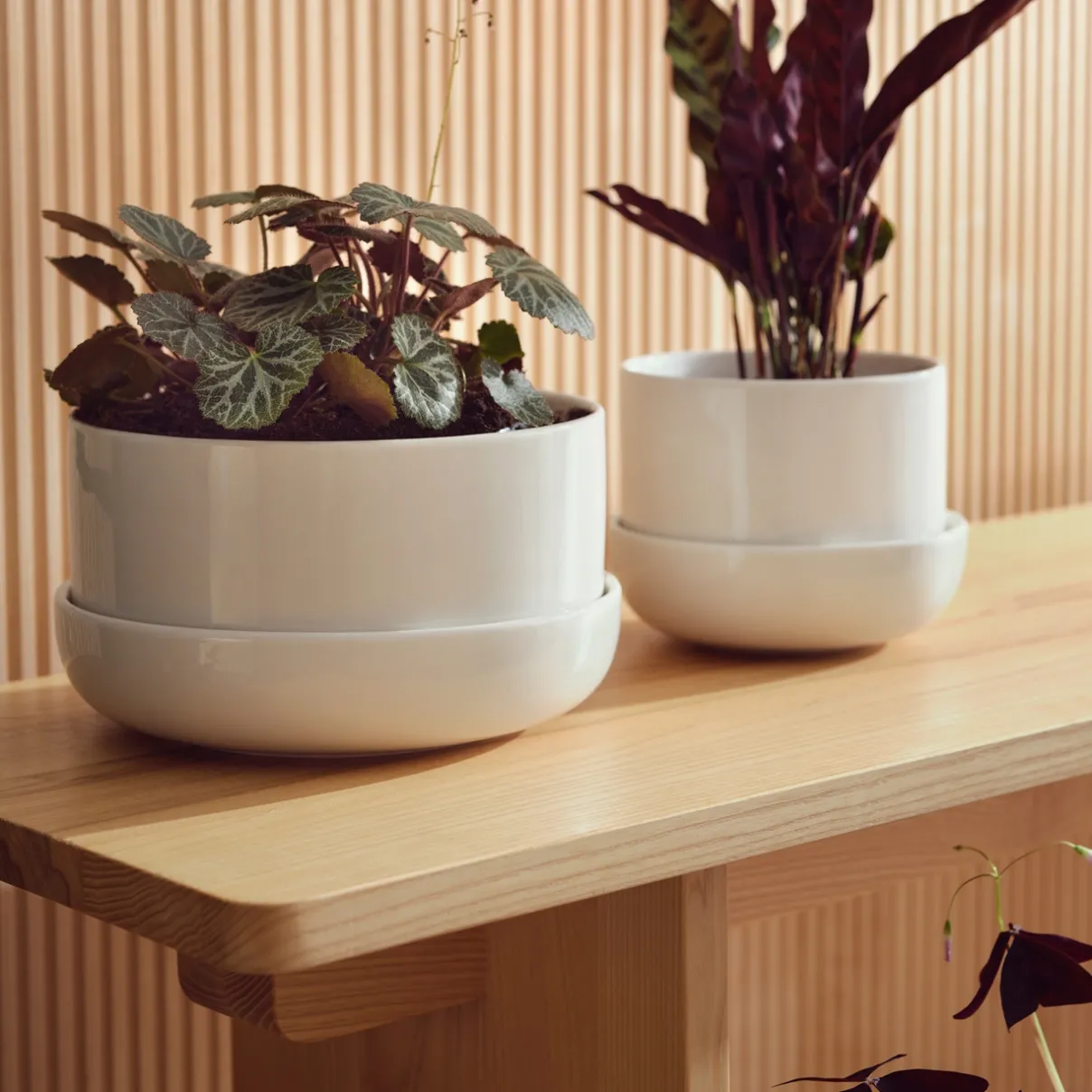 Clearance IITTALA Ruukku ja vati M Valkoinen