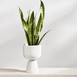 Discount IITTALA Ruukku jalallinen S Valkoinen