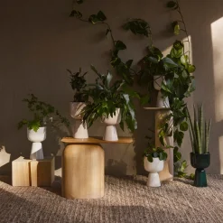 Best IITTALA Ruukku jalallinen S korkea Valkoinen