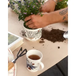 Online IITTALA Ruukku 100x120mm