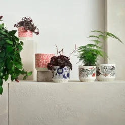 Best IITTALA Ruukku 120x140mm