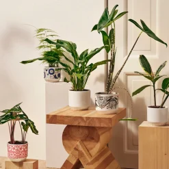 Best IITTALA Ruukku 120x140mm