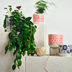 Clearance IITTALA Ruukku 100x120mm