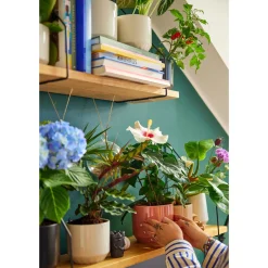 Online IITTALA Ruukku 100x120mm terrakotta