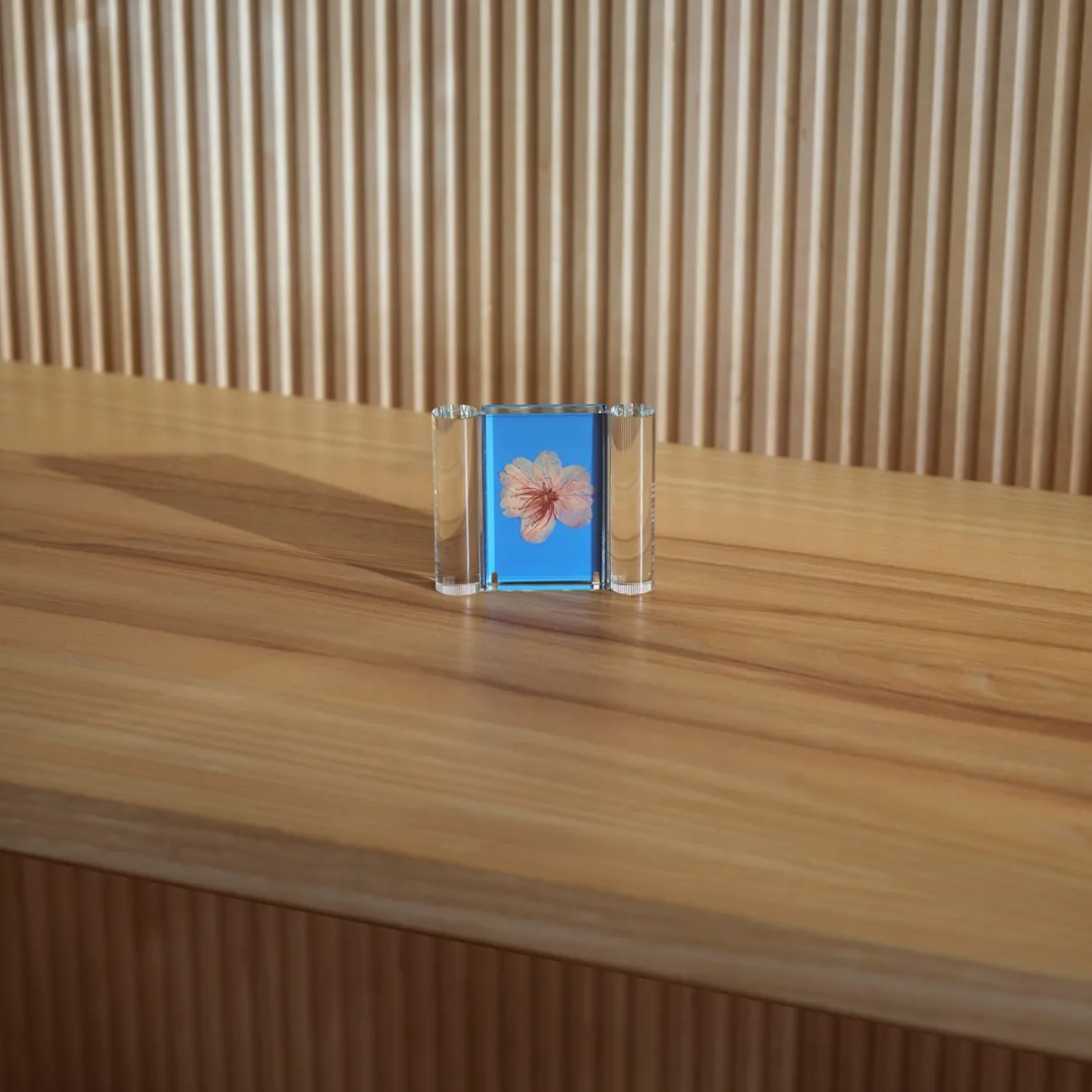 Online IITTALA Valokuvakehys 76x64mm sininen